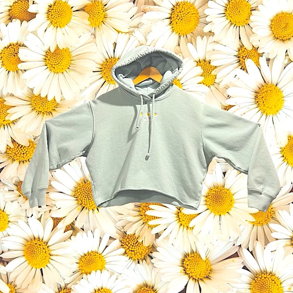 Hollister!!! Women’s, size small, cropped hoodie! 🌼🤩